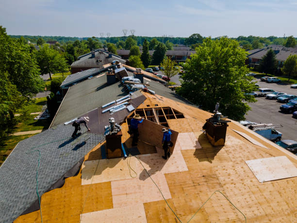 Best Storm Damage Roof Repair  in Huber Ridge, OH